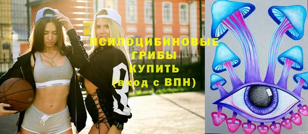 МДПВ Алексин