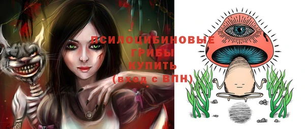 круглые Алексеевка