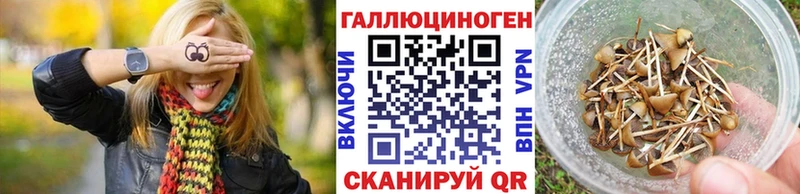 Галлюциногенные грибы Psilocybine cubensis  Печоры 